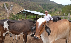 &ldquo;Vamos a morir viendo el campo en quiebra y asolado&rdquo;