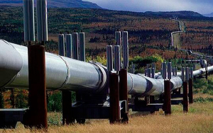 Turquía acogerá una cumbre internacional de gas en febrero