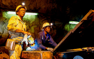 Innovaci&oacute;n para conservar la Amazon&iacute;a, el desaf&iacute;o del mill&oacute;n de d&oacute;lares