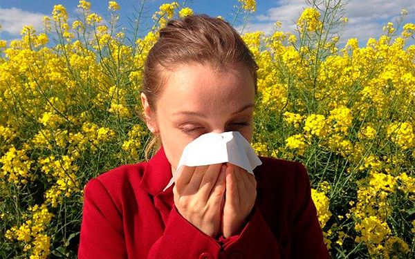 Siete millones de personas mueren anualmente por contaminaci&oacute;n del aire