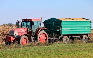 Programa Coseche y Venda a la Fija rompe expectativas