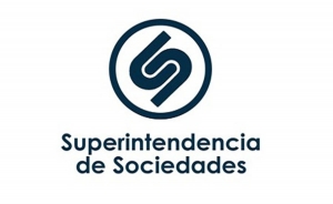 Supersociedades sancion&oacute; al representante legal y revisor fiscal de Gr&aacute;ficas San Mart&iacute;n