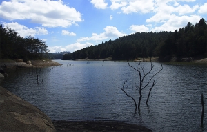 Coca-Cola devuelve agua utilizada en la producci&oacute;n de sus bebidas