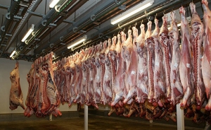 Fedeg&aacute;n denuncia que sigue entrando carne bovina desde Venezuela