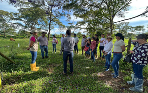 Orinoqu&iacute;a encuentra opciones sostenibles en ganader&iacute;a baja en carbono