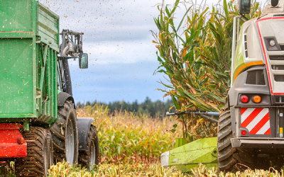 Cereales, leguminosas y soya: Producci&oacute;n nacional no es suficiente
