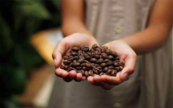 El caf&eacute; que nos une: 93 a&ntilde;os de la Federaci&oacute;n Nacional de Cafeteros