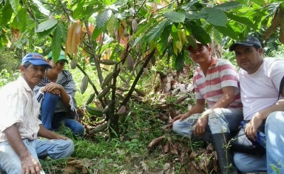 Cacao de Muzo, la nueva gema arom&aacute;tica de Boyac&aacute;