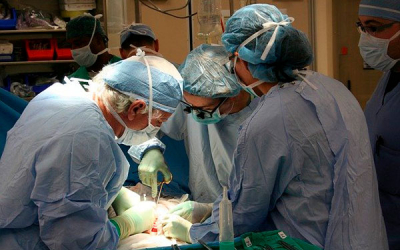 Consideraciones al momento de donar o recibir un &oacute;rgano y/o tejido