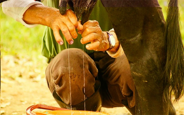 Campesinos, los h&eacute;roes del desarrollo agropecuario del pa&iacute;s: Claudia Ortiz