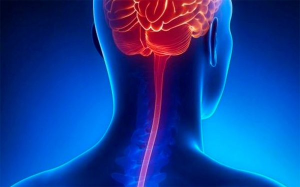 La meningitis: una de las 10 causas principales de mortalidad en adolescentes