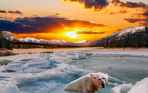 El rol de las Inversiones de Am&eacute;rica Latina en Acci&oacute;n clim&aacute;tica