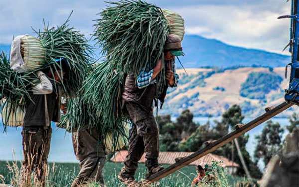 Anuc dice que libre comercio vulnera salud y econom&iacute;a rural
