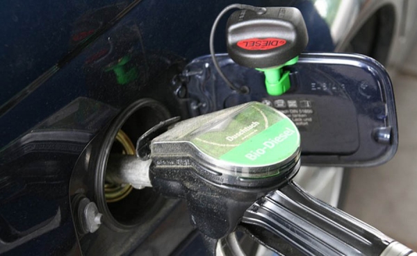 Crisis fronteriza, una oportunidad de institucionalidad: Fedispetrol