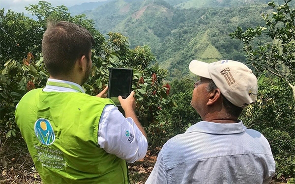 Banco Agrario sigue inyectando recursos v&iacute;a cr&eacute;dito al campo