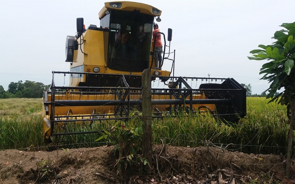 Productores del campo est&aacute;n pagando cr&eacute;ditos con el sistema gota a gota