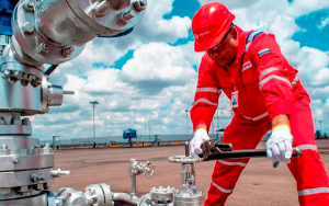 La pol&iacute;tica energ&eacute;tica y sus desvar&iacute;os