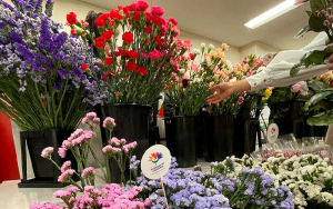 Corea y jap&oacute;n buscan reconectarse con las flores de Colombia