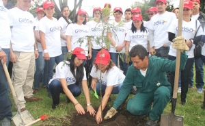 GELSA, de la mano con el ecosistema