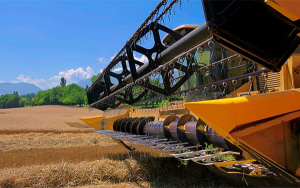 Por geopol&iacute;tica, insumos, clima y d&oacute;lar, ruralidad sigue en el limbo: SAC