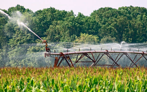 Explotaciones agr&iacute;colas est&aacute;n dejando sin agua al campesinado: AsoEspinal