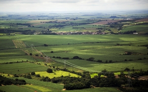 ABB se adjudica pedido de transformadores por 75 millones de d&oacute;lares en Brasil