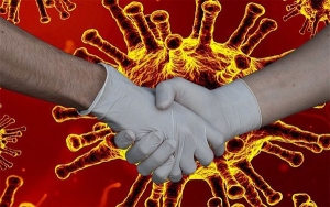 Se va el a&ntilde;o de la peste