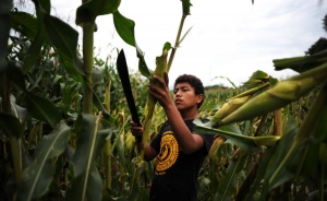 La carestía es culpa de “El Niño” y no de los supermercados: Fenalco