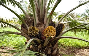 Impacto global log&iacute;stico no le conviene a nadie: P&eacute;rez Marulanda