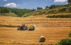 Precios mundiales de los alimentos disminuyen en 2018: FAO