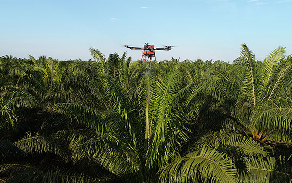 Tecnolog&iacute;a, una necesidad en el campo: Del agricultor al agricul-DRON