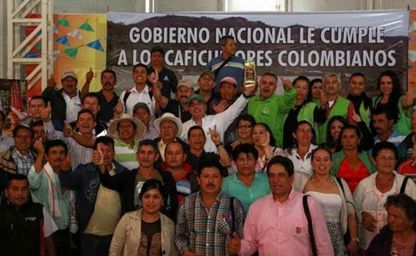 Apoyo gubernamental impuls&oacute; buen balance de los caficultores en 2015