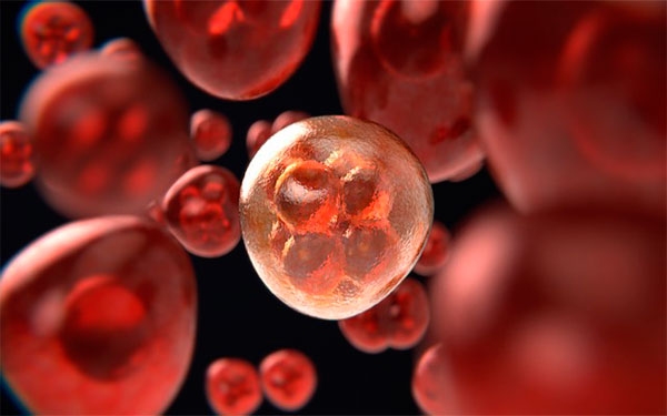 Por qu&eacute; los hombres son m&aacute;s propensos a desarrollar c&aacute;ncer