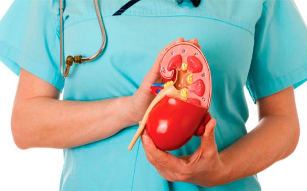 Pacientes con ERC est&aacute;n llegando tarde a Nefrolog&iacute;a: Asocolnef