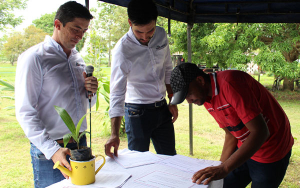 Peque&ntilde;os productores de palma reciben pl&aacute;ntulas de paz y progreso