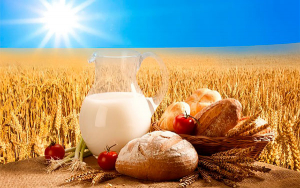 Campo y sector lechero, listos para la reactivaci&oacute;n: ANALAC