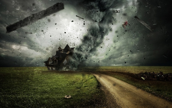 Aseguradora Solidaria, confianza y solidez para disfrutar en vida