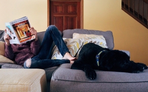 Los arrendamientos este a&ntilde;o aumentar&aacute;n 5,75%