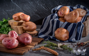 Productores de papa siguen avanzando en variedades resistentes