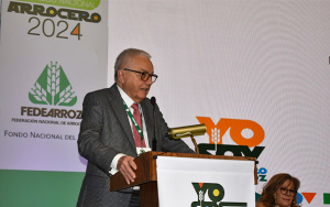 Los productores del campo, valientes, indispensables, pero solos: Fedearroz