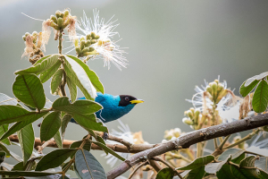 Transformaci&oacute;n ambiental: urge redefinir relaci&oacute;n humano-naturaleza