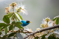 Transformaci&oacute;n ambiental: urge redefinir relaci&oacute;n humano-naturaleza
