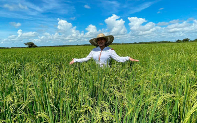 Mujeres arroceras del Casanare, de pie, laboriosas y sin temor a competir