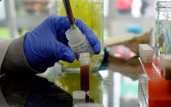 Industria alimenticia y farmac&eacute;utica beneficiada con BIOS Colombia