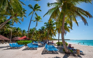 Rep&uacute;blica Dominicana tendr&aacute; formulario electr&oacute;nico de entrada y salida