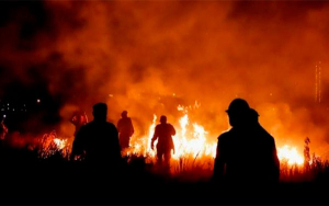 &iexcl;El ni&ntilde;o no es un juego!