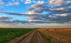 Agencia de la ONU preocupada por el abandono del campo en Latinoam&eacute;rica