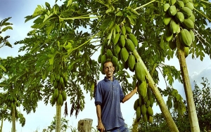 MinAgricultura suscribir&aacute; alianzas productivas para el Magdalena