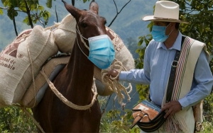 Medida temporal en la FNC: No sea mula y cu&iacute;dese