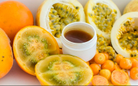 Para exportar Colombia present&oacute; portafolio de Ingredientes Naturales